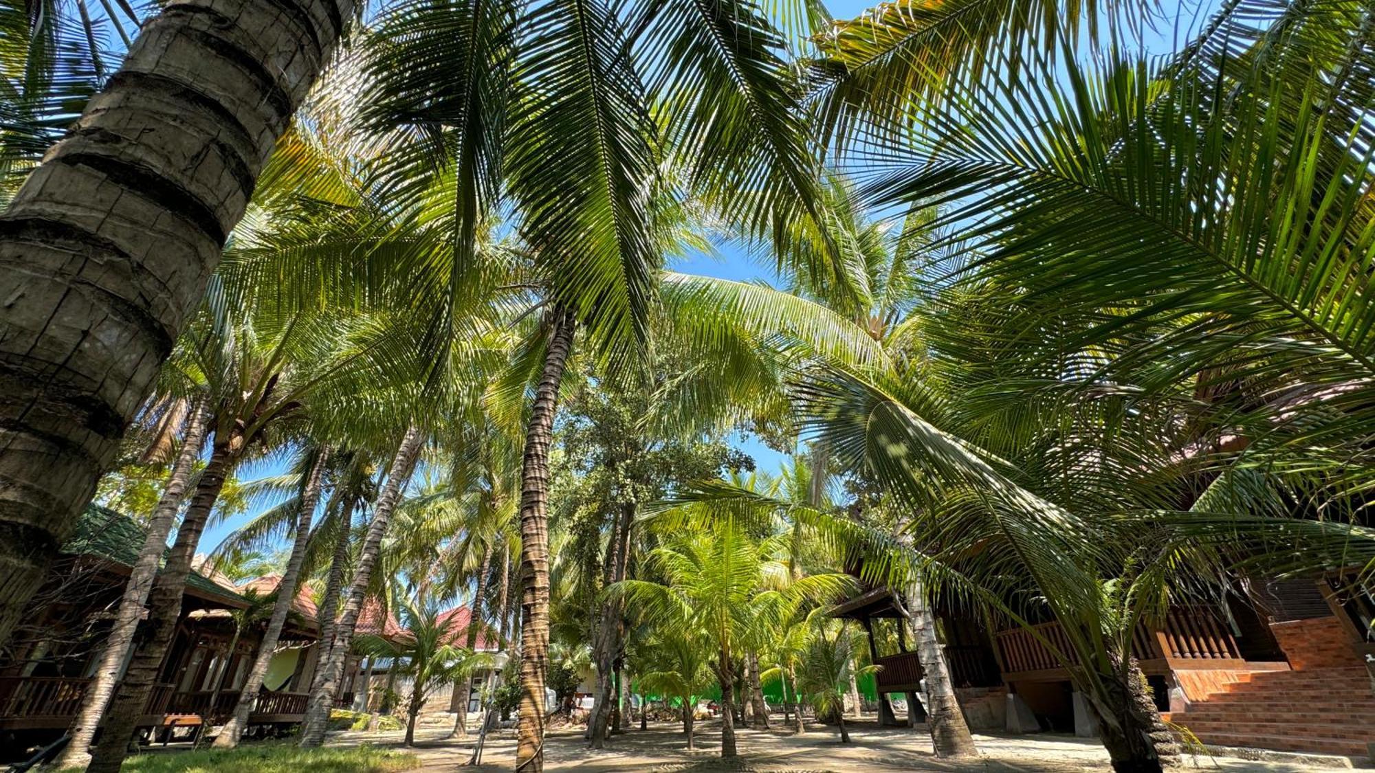 Bronze Hotel Gili Meno